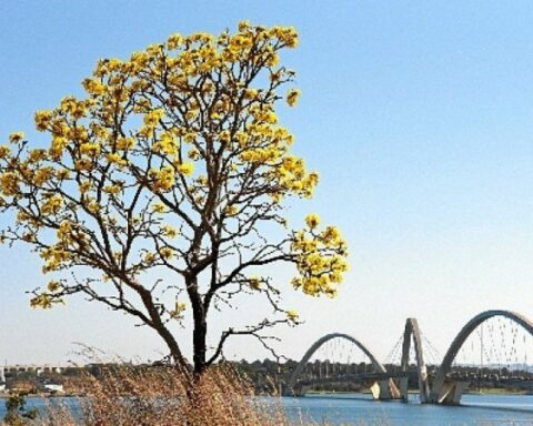 Turismo: pontos do DF ganham visibilidade internacional