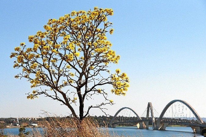 Turismo: pontos do DF ganham visibilidade internacional