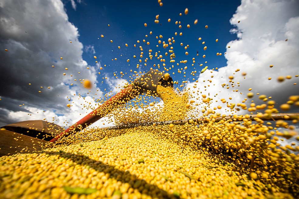 Agronegócio: exportação sobe quase 35% em maio