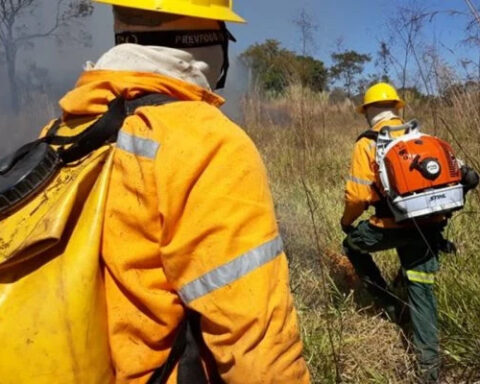 Inscrições para brigadistas começam na segunda