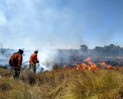 Incêndios: GDF vai contratar brigadistas para combater focos nas florestas
