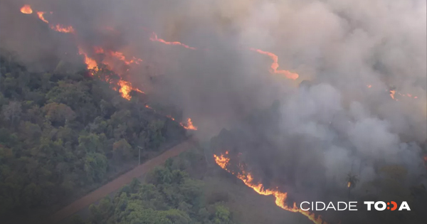 Cerrado: No acumulado de janeiro até 31 de agosto, foram 31.566 pontos de queimada no bioma. Foto: TV Globo/Reprodução