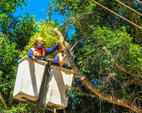 Sem Energia: Desligamento afetará pontos de Cruzeiro, Plano Piloto, Taguatinga, Paranoá, Samambaia, Lago Norte, Planaltina e Sobradinho. Foto: Divulgação