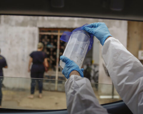 Mosquitos Wolbachia são libertados no DF para combater doenças