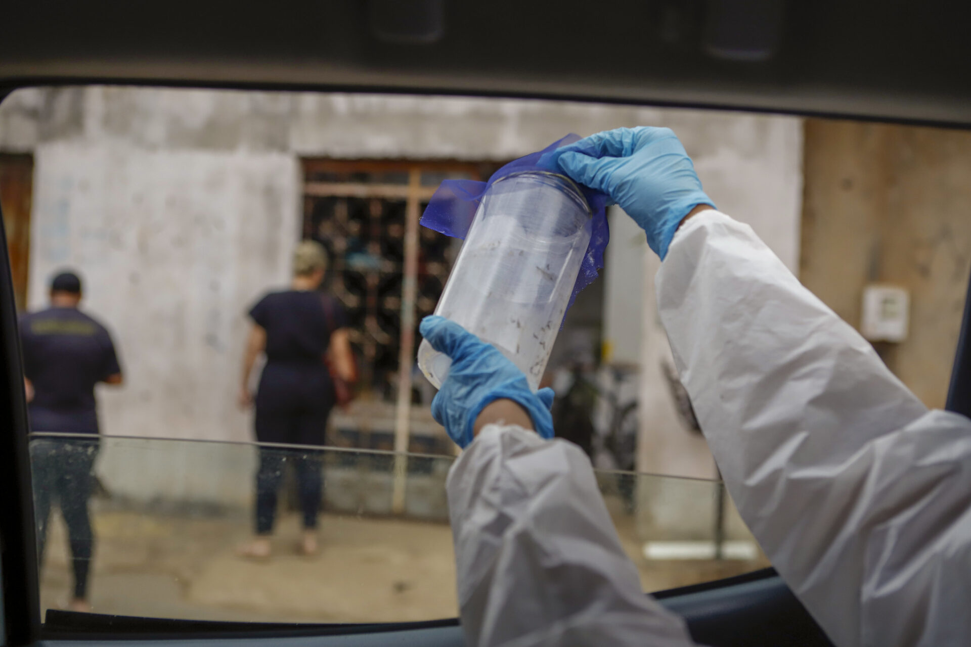 Mosquitos Wolbachia são libertados no DF para combater doenças